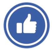 social-media-follow-up